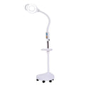 LED Floor Lamp Magnifying Salon Beauty Cold Light Multifunction Desk Lamp Esthetician Magnifying Nail Art Tattoo Vertical light