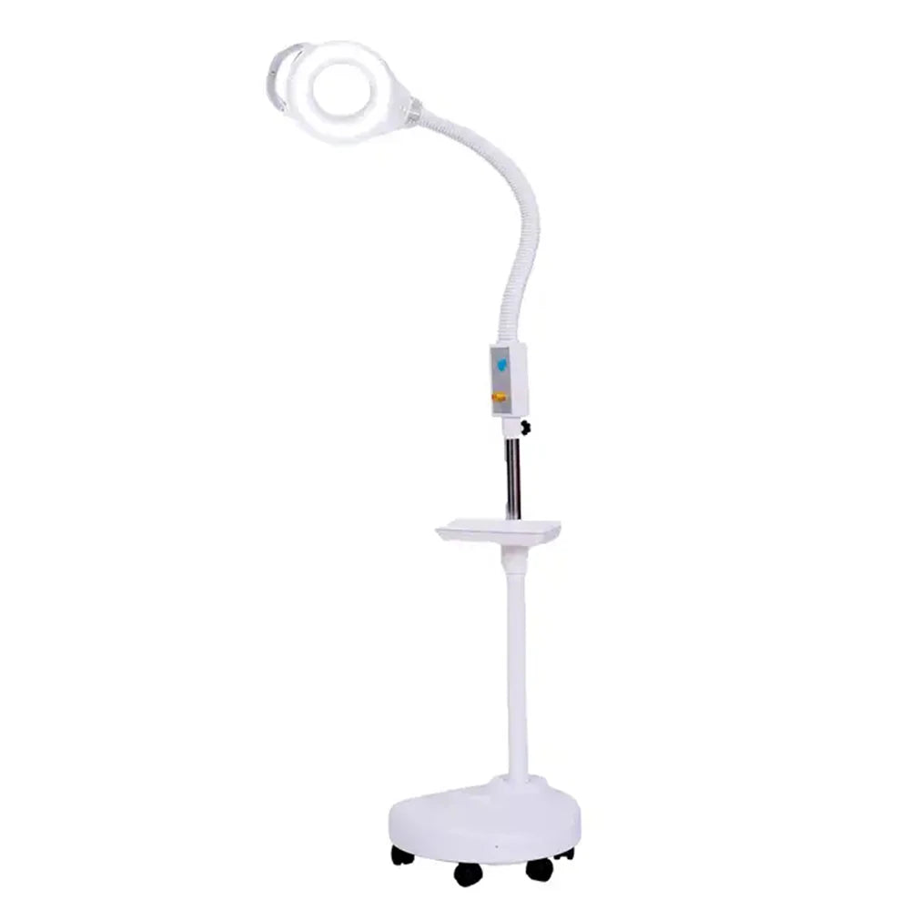 LED Floor Lamp Magnifying Salon Beauty Cold Light Multifunction Desk Lamp Esthetician Magnifying Nail Art Tattoo Vertical light